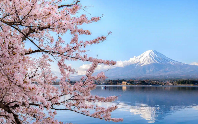 Konnichiwa! The Japanese are not so keen on our gas. What’s the scam?